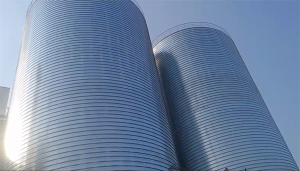 古田2座混凝土高架卷板仓